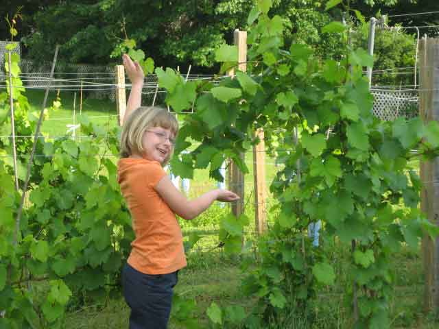 Kristina showing the vineyard