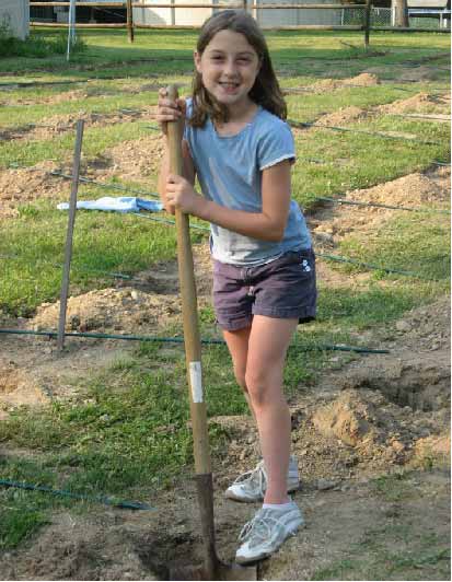 Kasha digging holes for grape vines