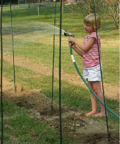 New vines being watered by Kristina